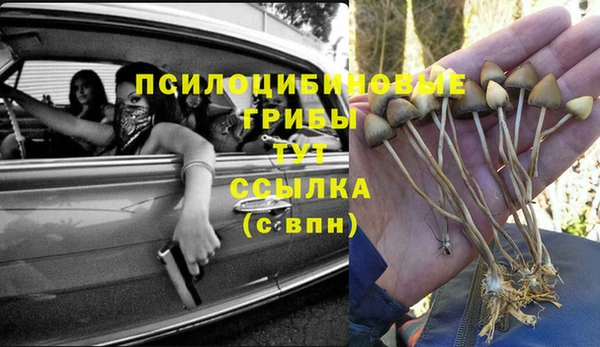 тгк Майский