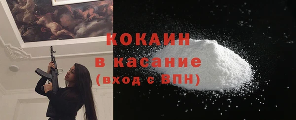 мдпв Магас